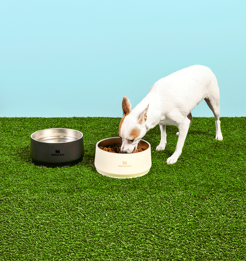 Comedouro Stanley para Cães e Gatos Bege - 1,4 L