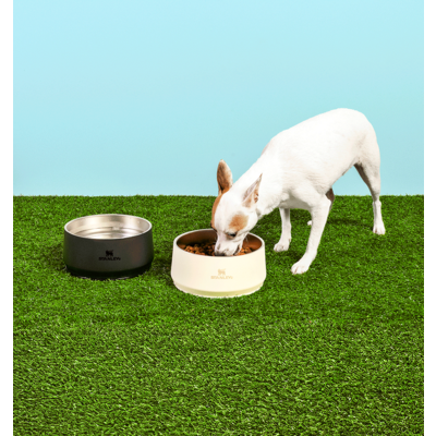 Comedouro Stanley para Cães e Gatos Bege