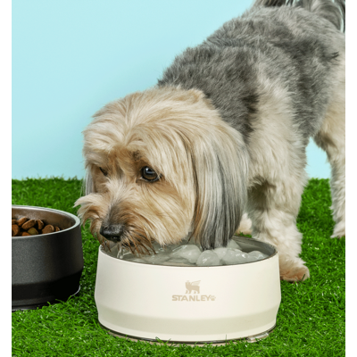 Comedouro Stanley para Cães e Gatos Bege