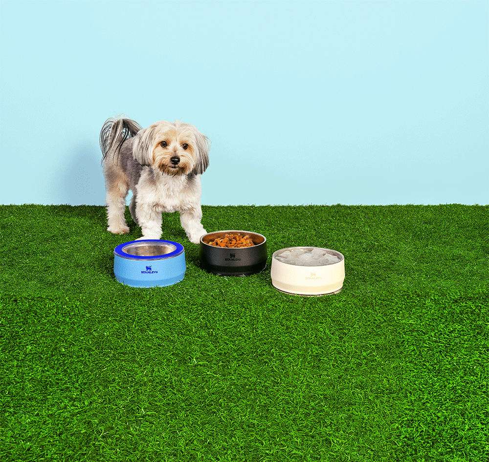Comedouro Stanley para Cães e Gatos Preto - 700 mL