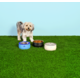 Comedouro Stanley para Cães e Gatos Preto