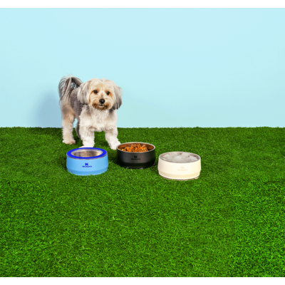 Comedouro Stanley para Cães e Gatos Preto