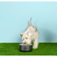 Comedouro Stanley para Cães e Gatos Preto