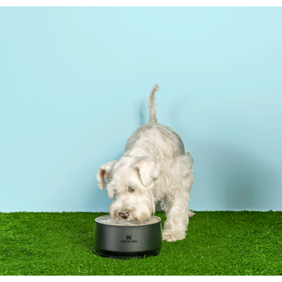 Comedouro Stanley para Cães e Gatos Preto