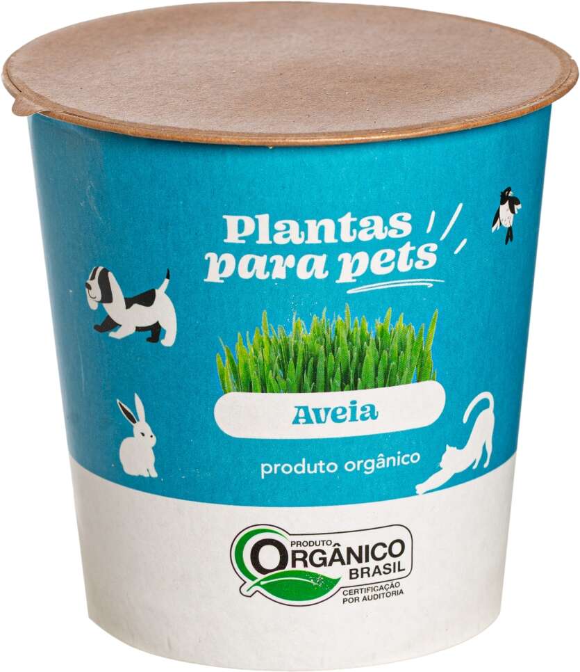 Graminha Plantas Clorophila Brasil para Pets Aveia - 1 Unidade