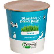 Graminha Plantas Clorophila Brasil para Pets Aveia - 1 Unidade