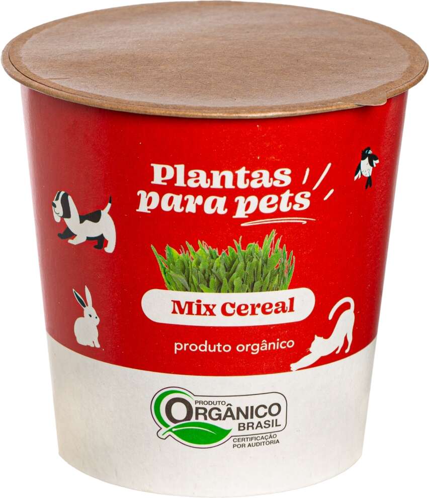 Graminha Clorophila Brasil Plantas para Pets Mix - 1 Unidade