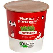 Graminha Clorophila Brasil Plantas para Pets Mix - 1 Unidade