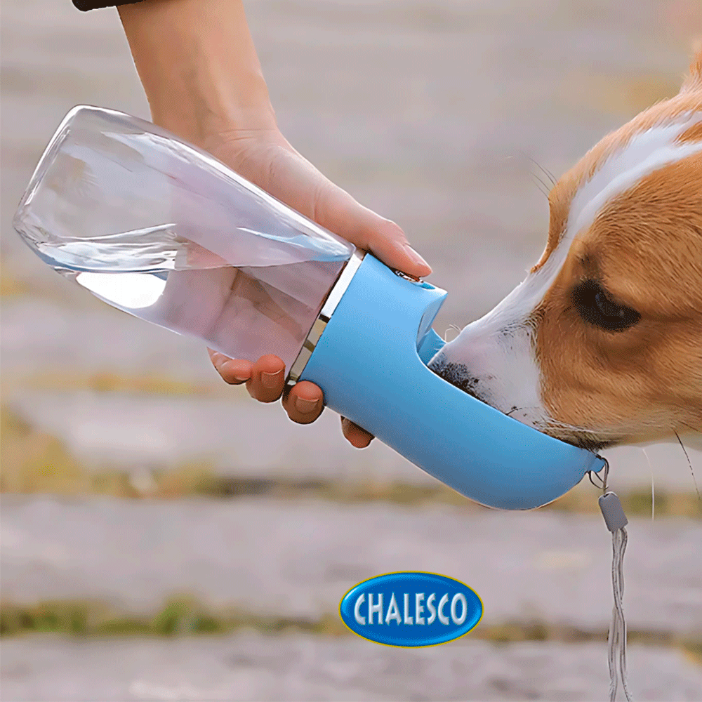 Bebedouro Automático Chalesco Fresh Dog Plus Azul - 500 mL