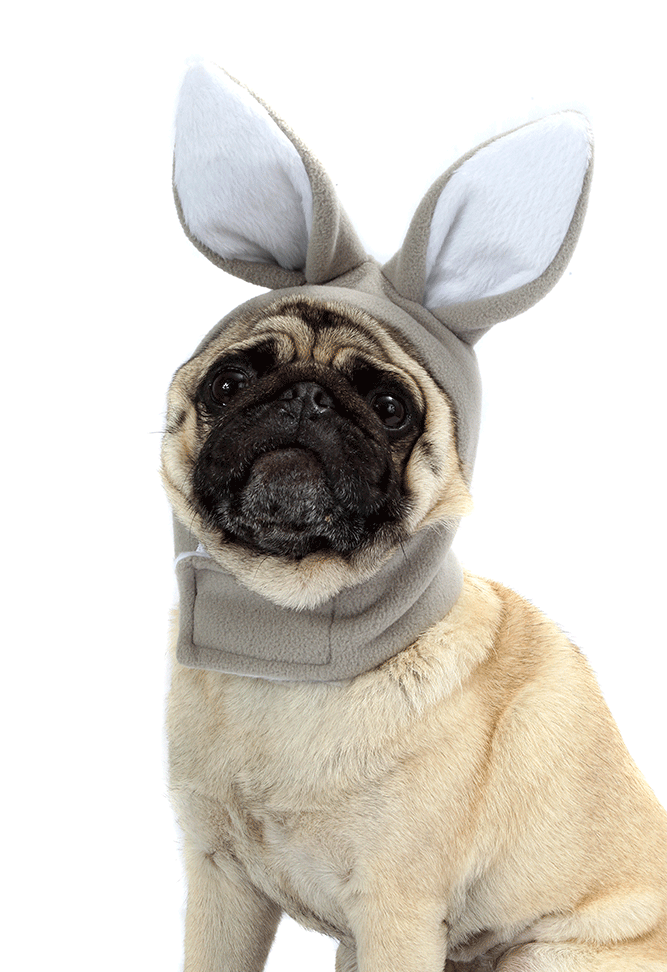 Touca Coelho Bichinho Chic para Cães e Gatos Cinza - Tam. M