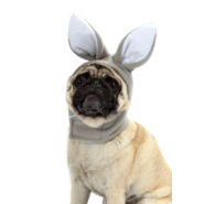 Touca Coelho Bichinho Chic para Cães e Gatos Cinza - Tam. M