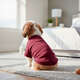 Blusa Moleton com Manga Fábrica Pet para Cães e Gatos Vinho