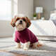 Blusa Moleton com Manga Fábrica Pet para Cães e Gatos Vinho