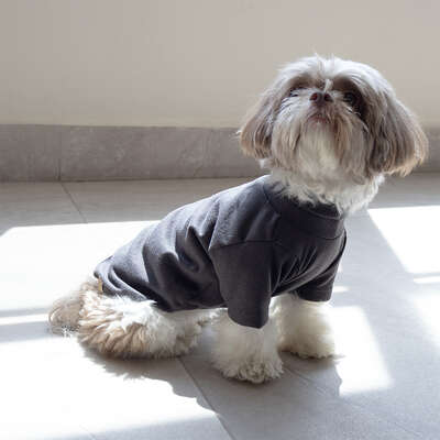 Blusa Linha com Manga Fábrica Pet para Cães e Gatos Cinza