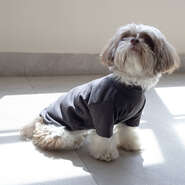 Blusa Linha com Manga Fábrica Pet para Cães e Gatos Cinza - Tam. GG