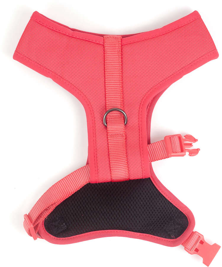 Peitoral Mesh Future Pet Mesh Coral - Tam. P