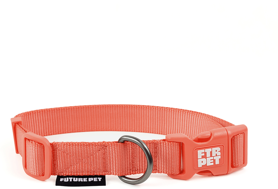 Coleira Future Pet Vermelho Argila para Cães - Tam. M