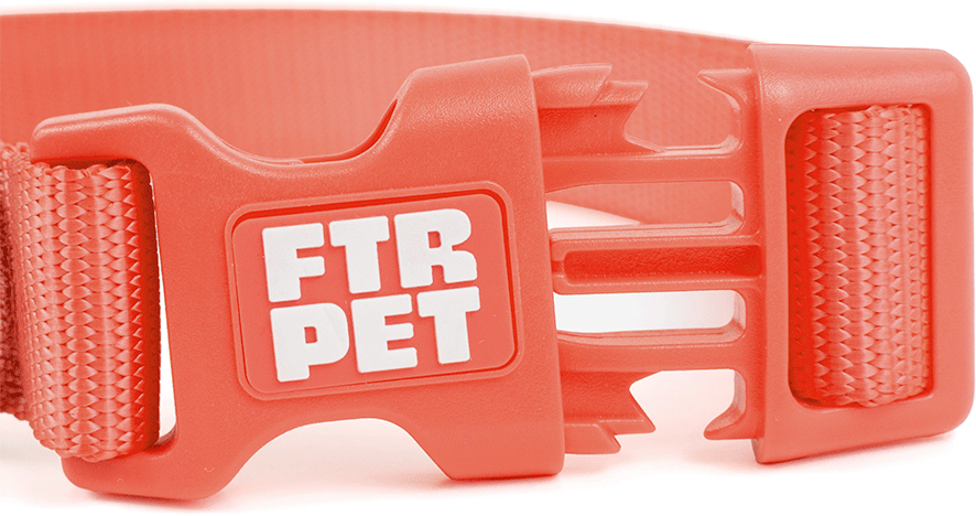Coleira Future Pet Vermelho Argila para Cães - Tam. M
