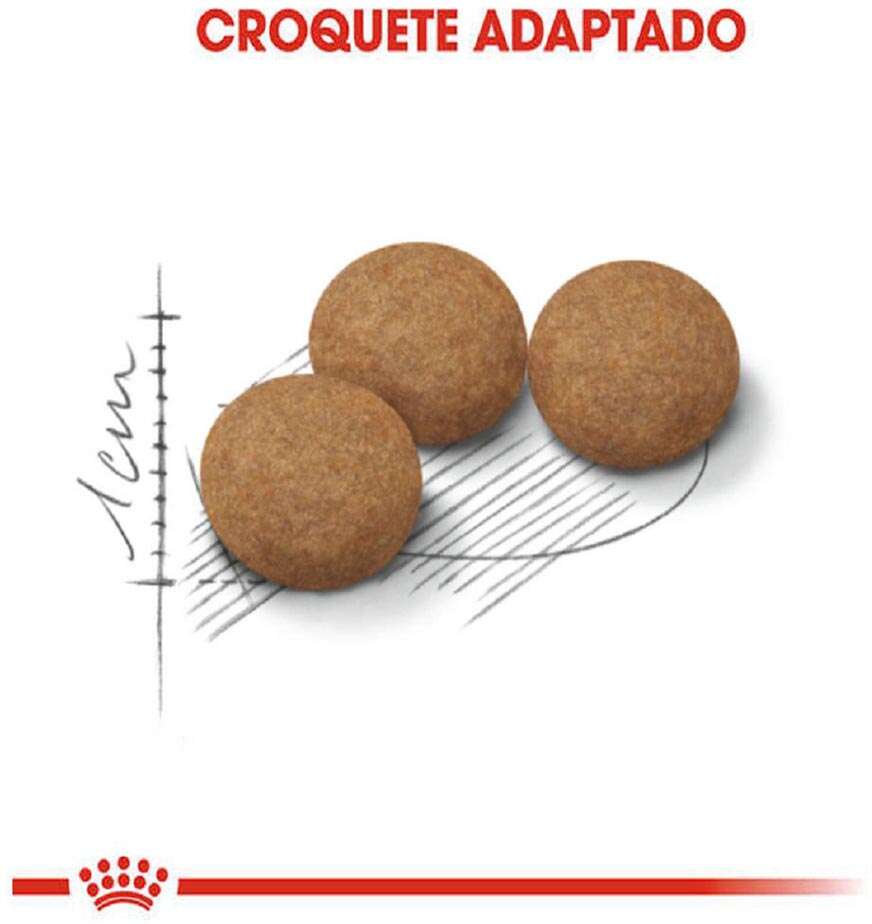 Ração Royal Canin Feline Health Nutrition Sterilised para Gatos Adultos Castrados Acima de 12 Anos - 1,5Kg
