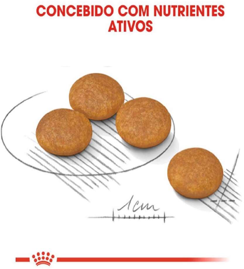 Ração Royal Canin Mini Dermacomfort para Cães Adultos ou Idosos de Raças Pequenas - 2,5Kg