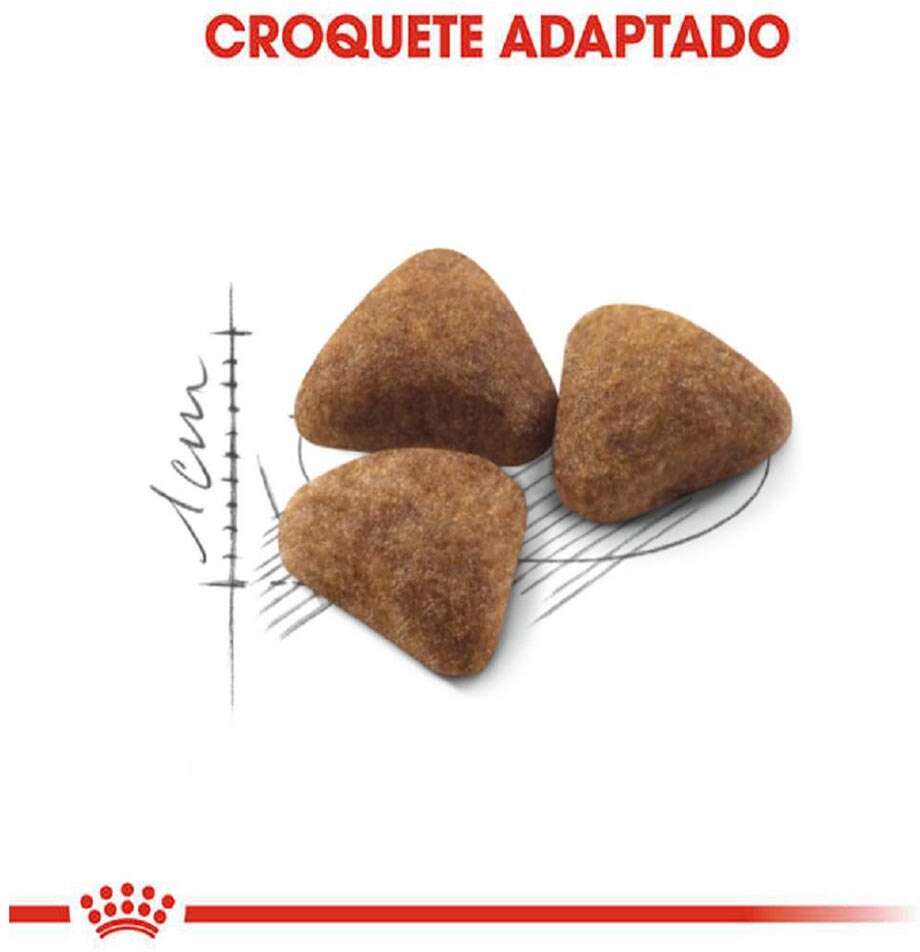 Ração Royal Canin Cat Indoor para Gatos Adultos - 1,5Kg