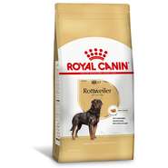 Ração Royal Canin para Cães Adultos da Raça Rottweiler - 10,1Kg