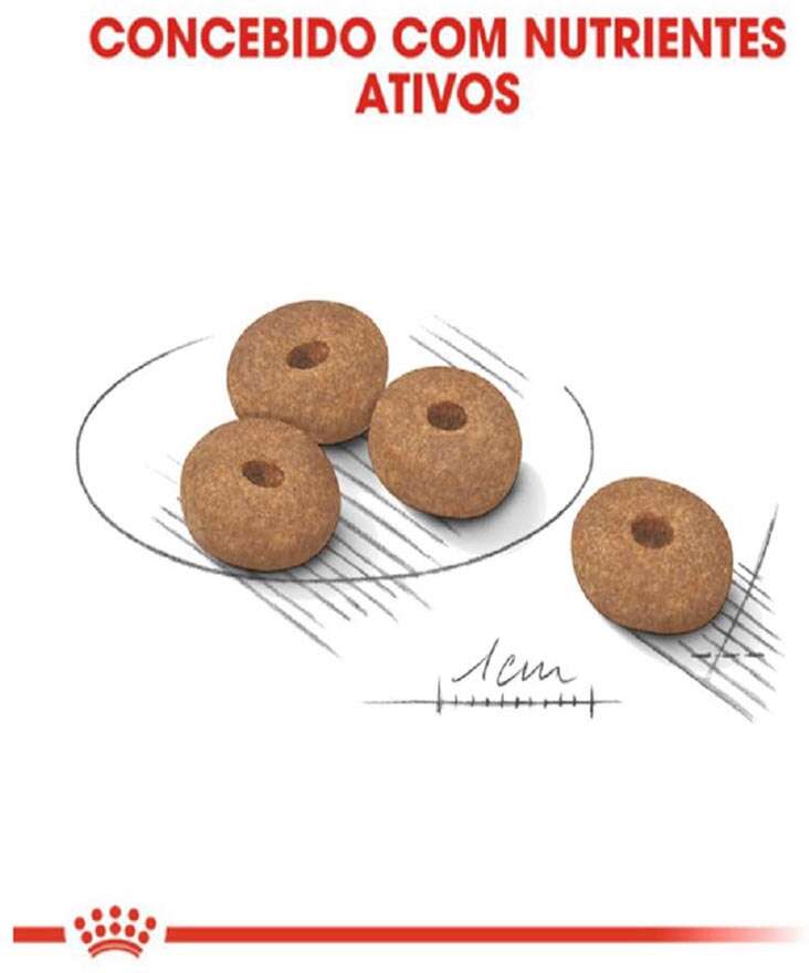 Ração Royal Canin Mini Light Cães Adultos de Raças Pequenas com Tendência a Obesidade - 2,5Kg