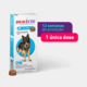 Antipulgas e Carrapatos MSD Bravecto para Cães de 20 a 40 Kg