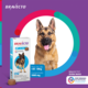 Antipulgas e Carrapatos MSD Bravecto para Cães de 20 a 40 Kg