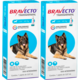 Antipulgas e Carrapatos MSD Bravecto Transdermal para Cães de 20 a 40 Kg
