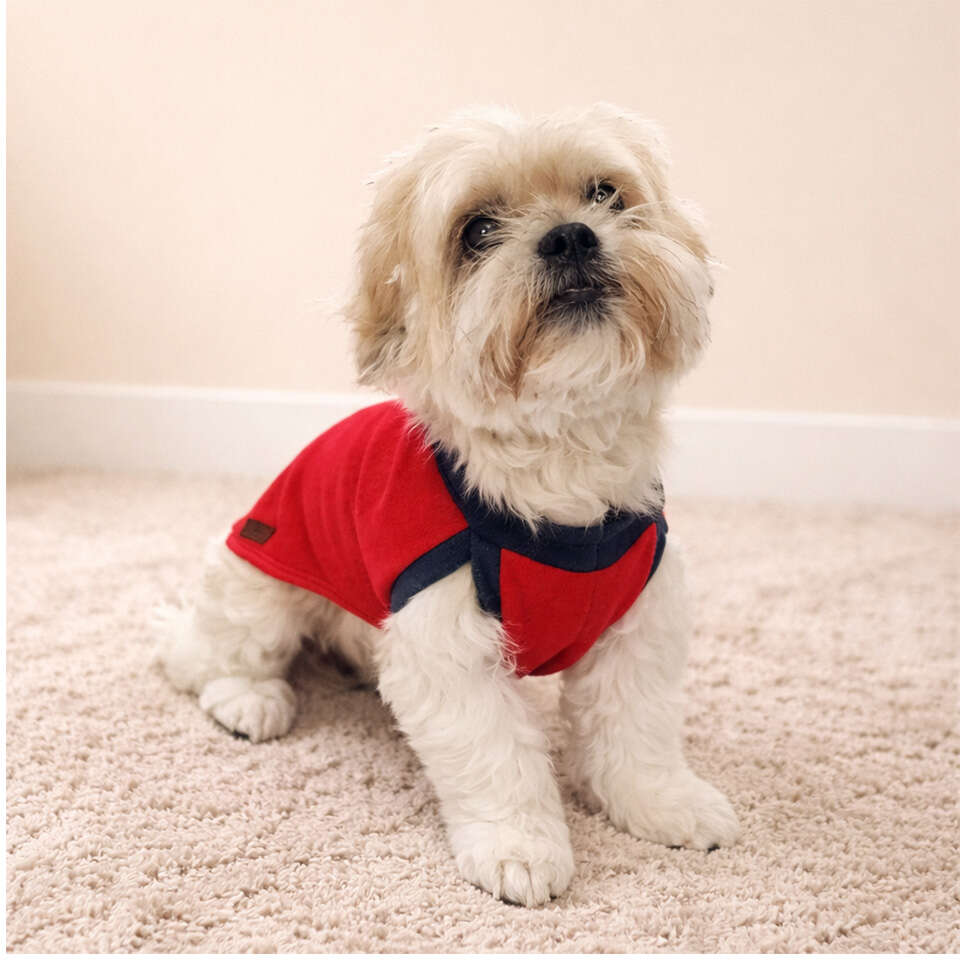 Blusa Básica sem Manga Fábrica Pet para Cães e Gatos Vermelha - Tam. M
