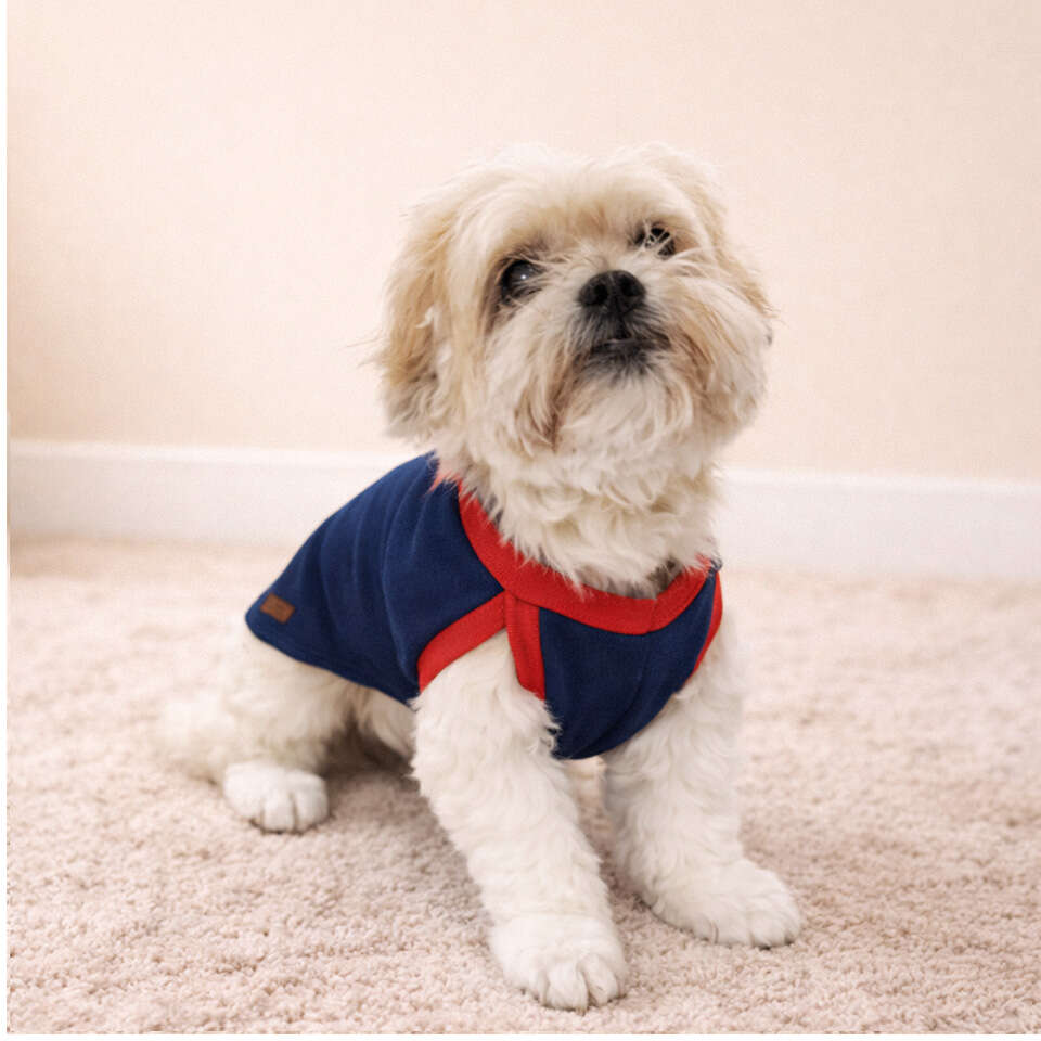 Blusa Básica sem Manga Fábrica Pet para Cães e Gatos Azul - Tam. P