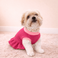 Vestido Soft Fábrica Pet para Cães e Gatos Rosa - Tam. GG
