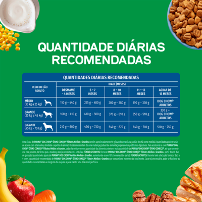 Ração Seca Purina Dog Chow Ótimo Começo para Cães Filhotes Porte Médio e Grande Sabor Carne Frango e Arroz