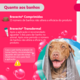 Antipulgas e Carrapatos MSD Bravecto Transdermal para Cães de 20 a 40 Kg