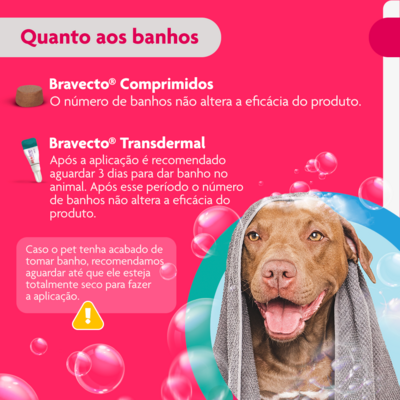 Antipulgas e Carrapatos MSD Bravecto Transdermal para Cães de 20 a 40 Kg