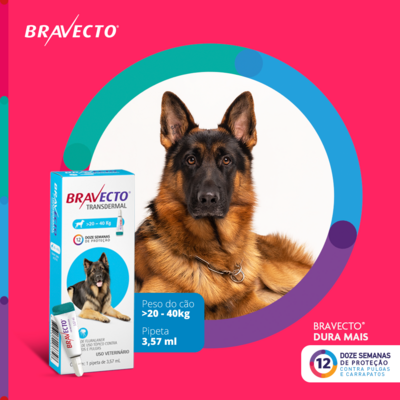Antipulgas e Carrapatos MSD Bravecto Transdermal para Cães de 20 a 40 Kg