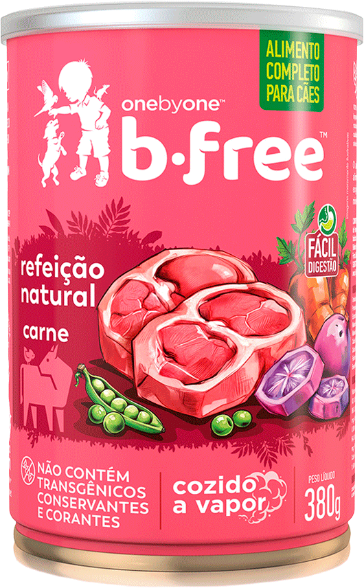 Alimento Natural Spin Pet B.Free para Cães sabor Carne - 380 g