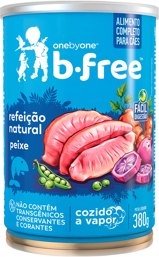 Alimento Natural Spin Pet B.Free para Cães sabor Peixe - 380 g