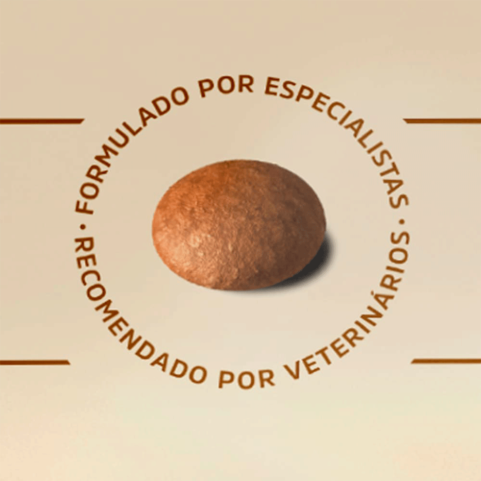 Ração Special Dog Gold Premium Especial Frango e Carne para Cães Adultos - 20Kg