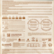 Ração Special Dog Gold Premium Especial Frango e Carne para Cães Adultos