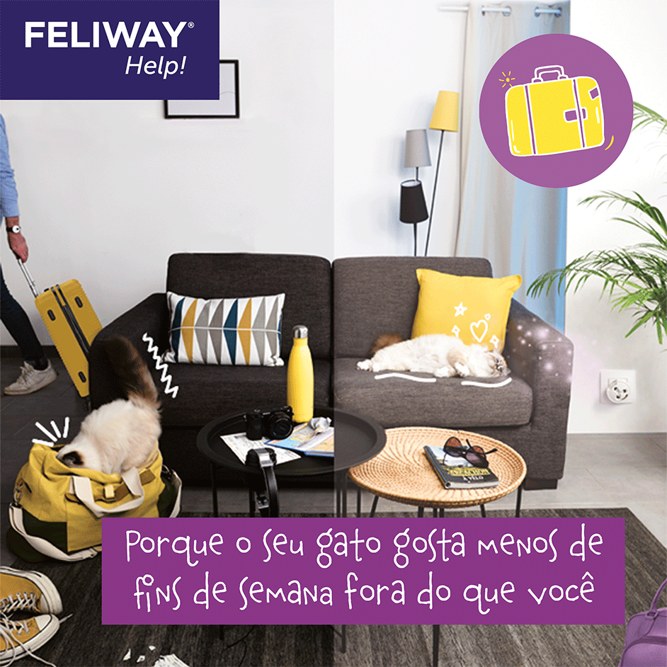 Difusor + Refil Feliway Help para Gatos - 1 Unidade