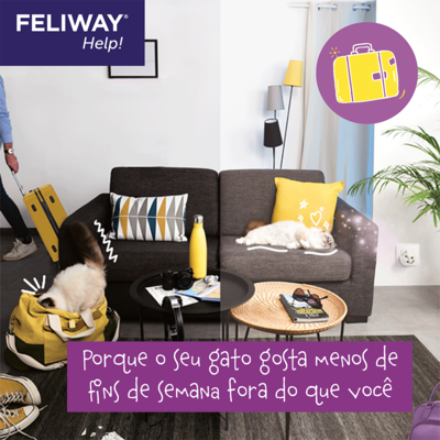 Refil Feliway Help para Gatos