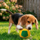 Brinquedo Bola de Futebol Copa do Mundo para Cães