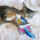 Brinquedo Pelúcia Kong para Gatos Crackles Sardinha