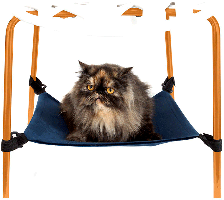 Rede Bichinho Chic Azul para Gatos - Tam. M