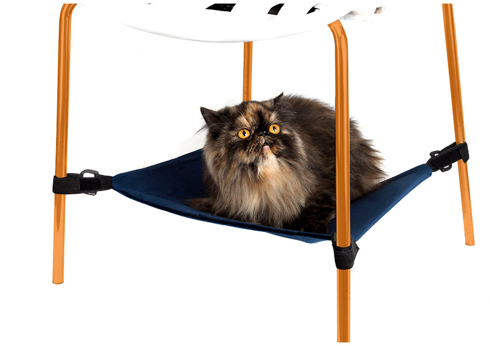Rede Bichinho Chic Azul para Gatos - Tam. M