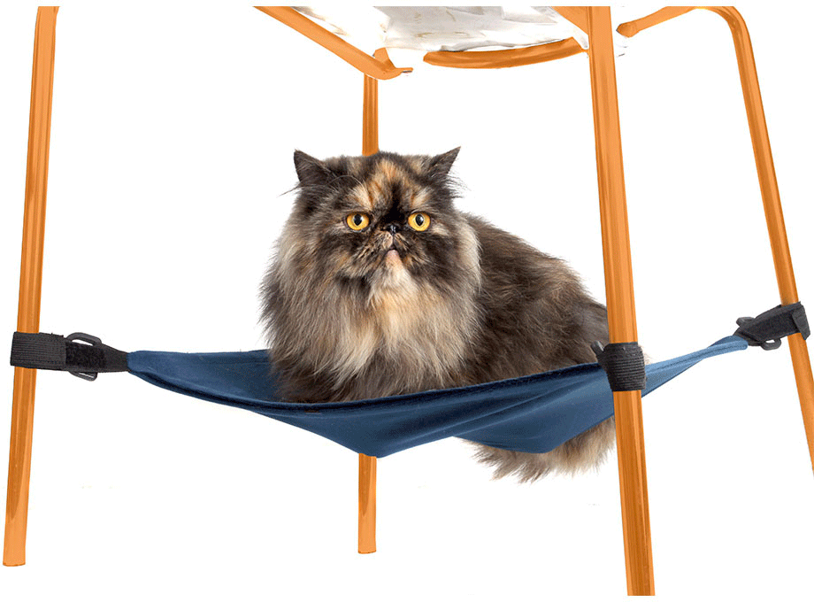 Rede Bichinho Chic Azul para Gatos - Tam. M