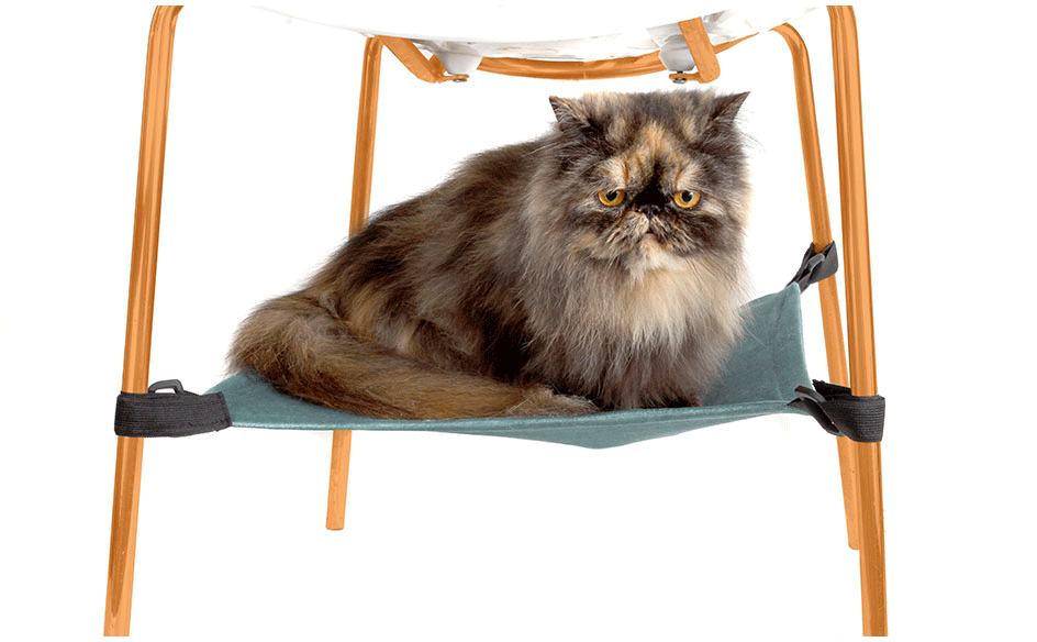 Rede Bichinho Chic Verde para Gatos - Tam. M