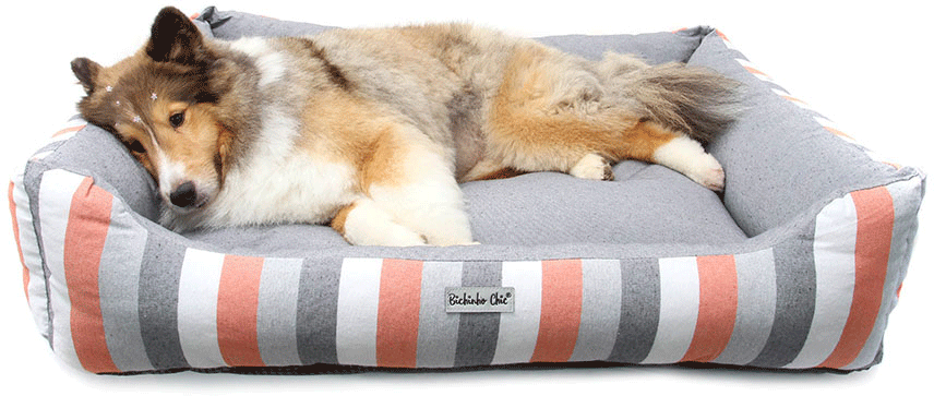 Cama Retangular Bichinho Chic Eco Laranja para Cães e Gatos - Tam. EGG